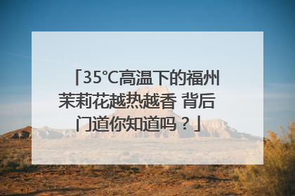 35℃高温下的福州茉莉花越热越香 背后门道你知道吗？