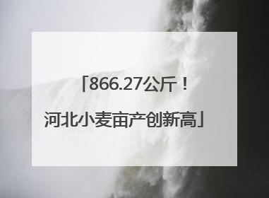 866.27公斤！河北小麦亩产创新高