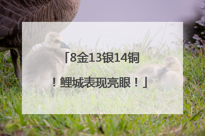 8金13银14铜！鲤城表现亮眼！