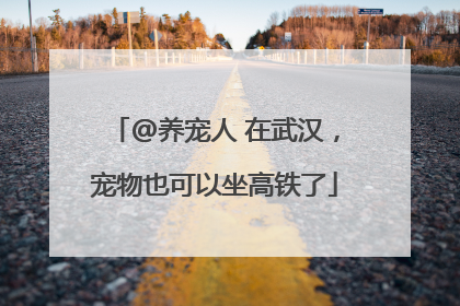 @养宠人 在武汉，宠物也可以坐高铁了