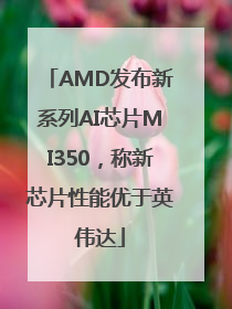 AMD发布新系列AI芯片MI350，称新芯片性能优于英伟达