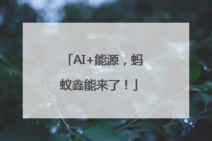 AI+能源，蚂蚁鑫能来了！