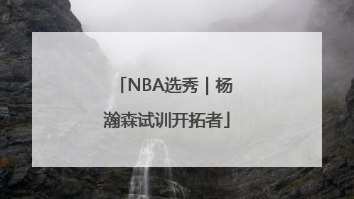 NBA选秀｜杨瀚森试训开拓者